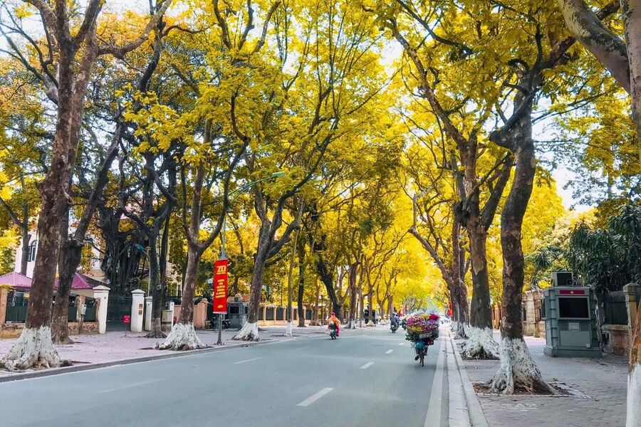 La beauté de l'automne à Hanoi