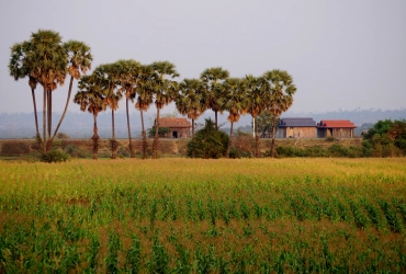 Saigon – Binh Phuoc -  Kratie (B/L/-)