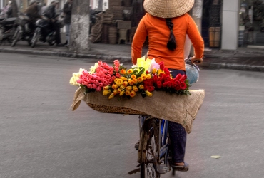 Arrivée à Hanoi  (-/-/D)