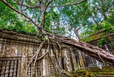 Siem Reap - Phnom Kulen – Bang Melea (B/L/-)