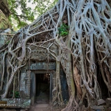 5 jours à la découverte du merveille d'Angkor