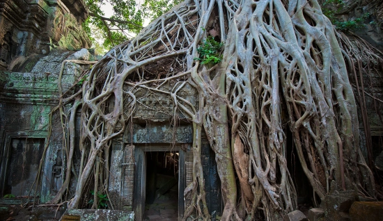 Visite Siem Reap 5 jours : À la découverte du merveille d'Angkor