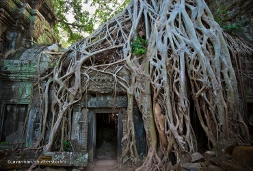 Temples d'Angkor (B/L/-)