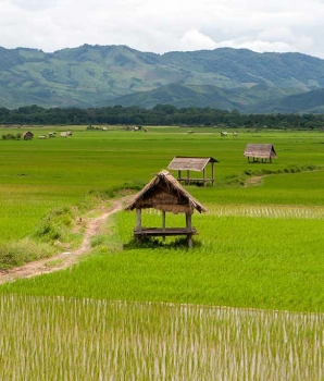 Circuit au nord du Laos 9 jours