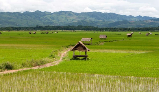 Circuit au nord du Laos 9 jours