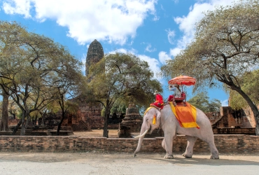 Kanchanaburi – Chute d’Erawan – Ayutthaya (B/L/-)