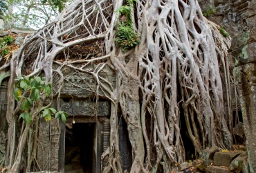 Siem Reap – Les temples principaux d’Angkor (L)