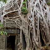 Voyage à Siem Reap 4 jours : Temples d’Angkor et villages oubliés