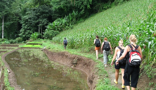 Randonnée au Parc national de Kirirom 3 Jours: aventure naturelle à Phnom Penh