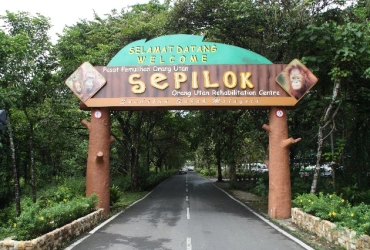 Sandakan – Sepilok – Sukau (B, D) 