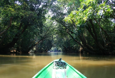 Kuching – Rivière Lemanak (B, D)