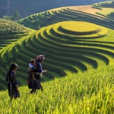 Voyage Vietnam 20 jours : Combiné de la culture et de la mer du Vietnam