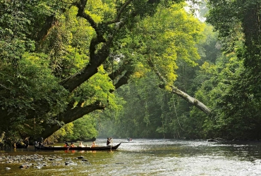 Kuala Lumpur – Parc National de Taman Negara (B)