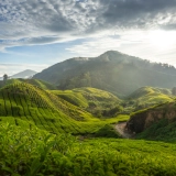 Découvertes des Jungles Tropicales