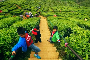 Kampung Bil - Hauts plateaux de Cameron (B, L, D)