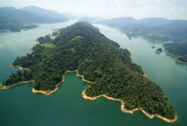 Hauts plateaux de Cameron - Réserve de forêt tropicale de Belum  (B, L)