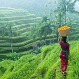 Panorama des îles : Java, Bali et les Gilis