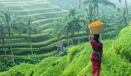 Panorama des îles : Java, Bali et les Gilis