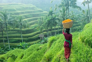 Arrivée à l'aéroport de Denpasar - Ubud  