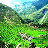 Des tribus Ifugao