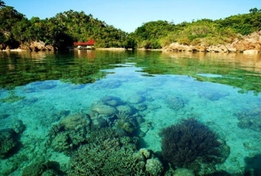 Ile de Negros - l’île d’Apo (B) 