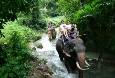 Koh Samui – Bateau – Don Sak – Khao Sok (B)