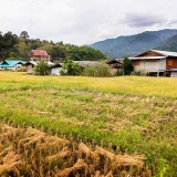 Itinéraire 3 jours à Chiang Mai : Découverte immersive des montagnes et de ses tribus