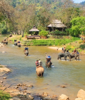 Excursion à Chiang Mai : Découverte des villages Palong 2 jours