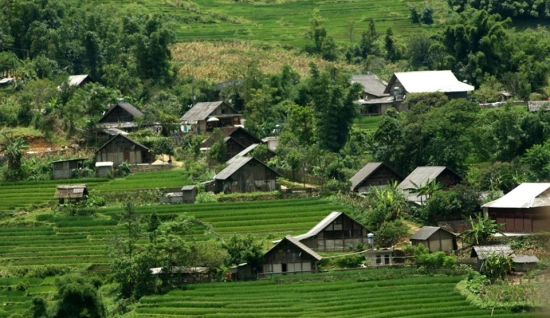 Petit circuit à Hoa Binh : Trekking à réserve naturelle Pu Canh