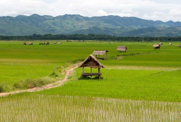 Nong Khiaw - Luang Prabang – Temps libre (B)