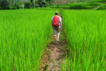 Visite du village khmer (B, L, D)