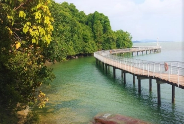 Singapour – Vélo sur l’île de Pulau Bin – Safari de nuit (B, L)