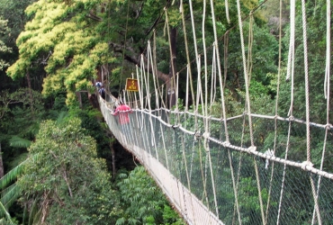 Taman Negara (B, L, D)