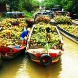 12 jours de Saigon à Siem Reap : Aventure du long du Mékong