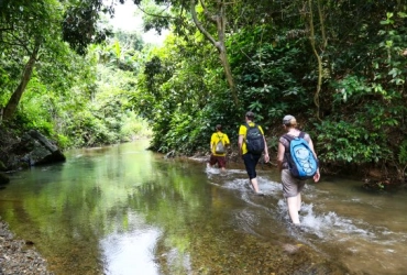 Phong Nha – Grotte des éléphants – Vallée de Ma Da – Phong Nha (B, L)  9km de randonnée