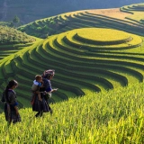 Séjour 2 semaines au Nord du Vietnam : Exploration la culture et la nature