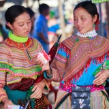 Séjour 2 semaines au Nord du Vietnam : Exploration la culture et la nature