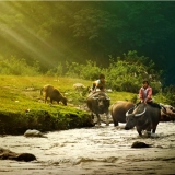 Séjour 2 semaines au Nord du Vietnam : Exploration la culture et la nature