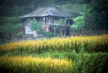 Hanoi – Réserve naturelle de Ngoc Son Ngo Luong – Chieng – Mu – Village de Sat (B, L, D)