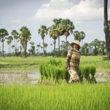 Cambodge Insolite 13 jours