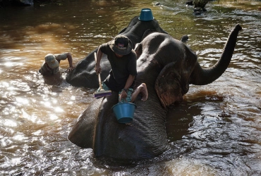 Mondulkiri – Une journée à Bunong Elephant Project (B, L)	