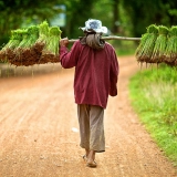 Charme du Cambodge 19 jours