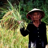 Charme du Cambodge 19 jours