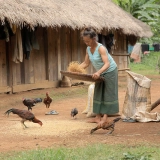 Itinéraire 9 jours au Laos : Découvertes montages et sites historiques