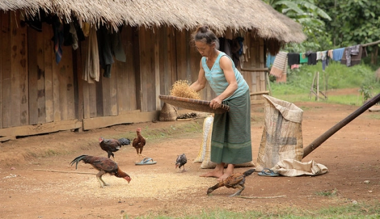 Itinéraire 9 jours au Laos : Découvertes montages et sites historiques