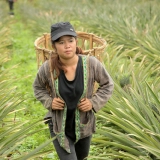 Itinéraire 9 jours au Laos : Découvertes montages et sites historiques