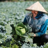 Itinéraire 9 jours au Laos : Découvertes montages et sites historiques