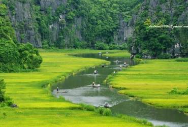 Ninh Binh – Tam Coc – Hoa Lu – Hanoi (B/-/-)