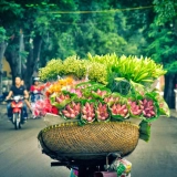 Entre nature et patrimoine centre-vietnamien