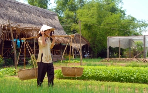 Voyage au Vietnam: Vie quotidienne du Vietnam 16 jours
